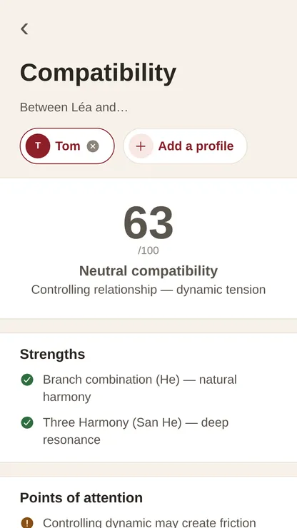 BaziPlanner compatibility between two Bazi charts