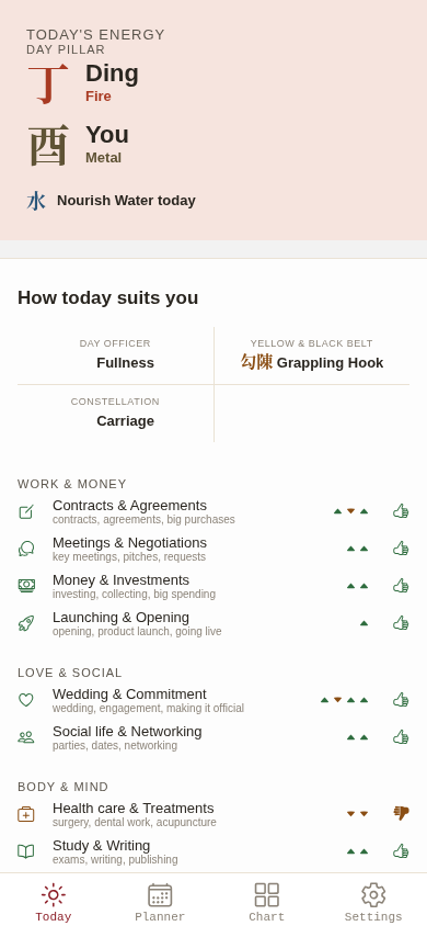 BaziPlanner daily Chinese astrology guidance screen
